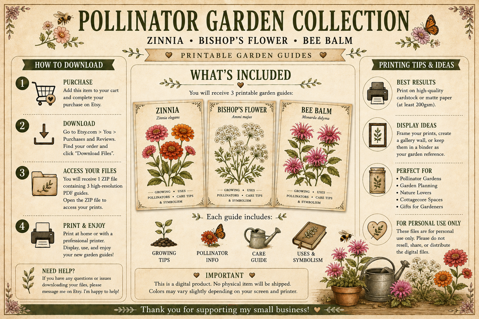 Pollinator Garden Collection | Zinnia, Bee Balm & Bishop's Flower | Butterfly & Bee Garden Guides