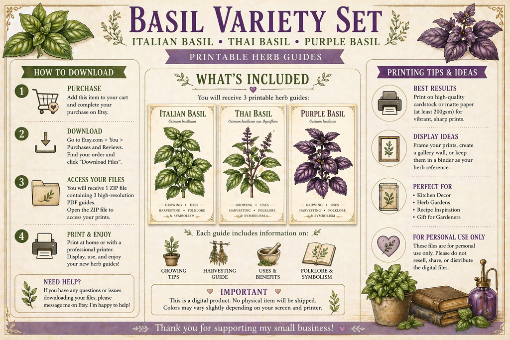 Basil Herb Guide Print Set • Italian, Thai, Purple Botanical Art (Instant Download)