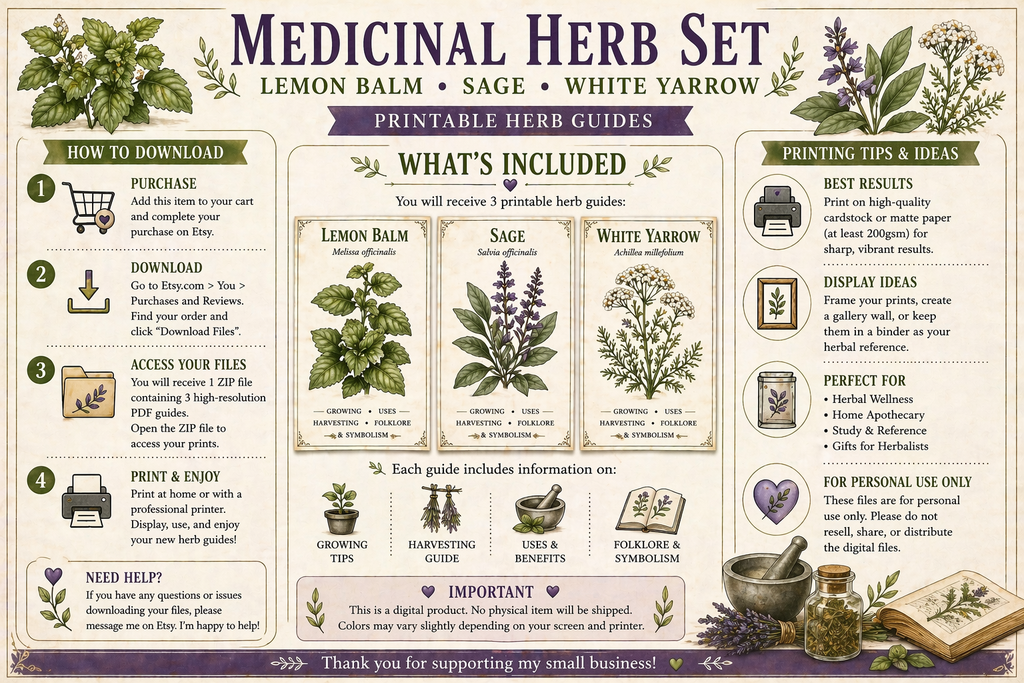 Medicinal Herb Printable Set • Lemon Balm, Sage, Yarrow • Apothecary Wall Art (Instant Download)
