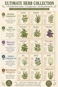 15 Printable Herb Guides • Botanical Prints, Apothecary Wall Art (Instant Download)